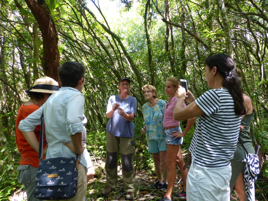 Groupe de visiteurs en plein cœur de la forêt